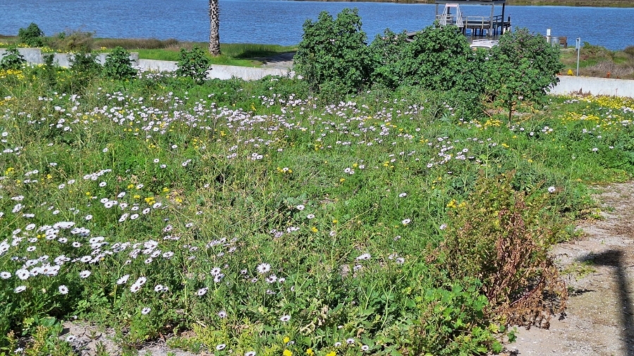 0 Bedroom Property for Sale in Velddrif Western Cape